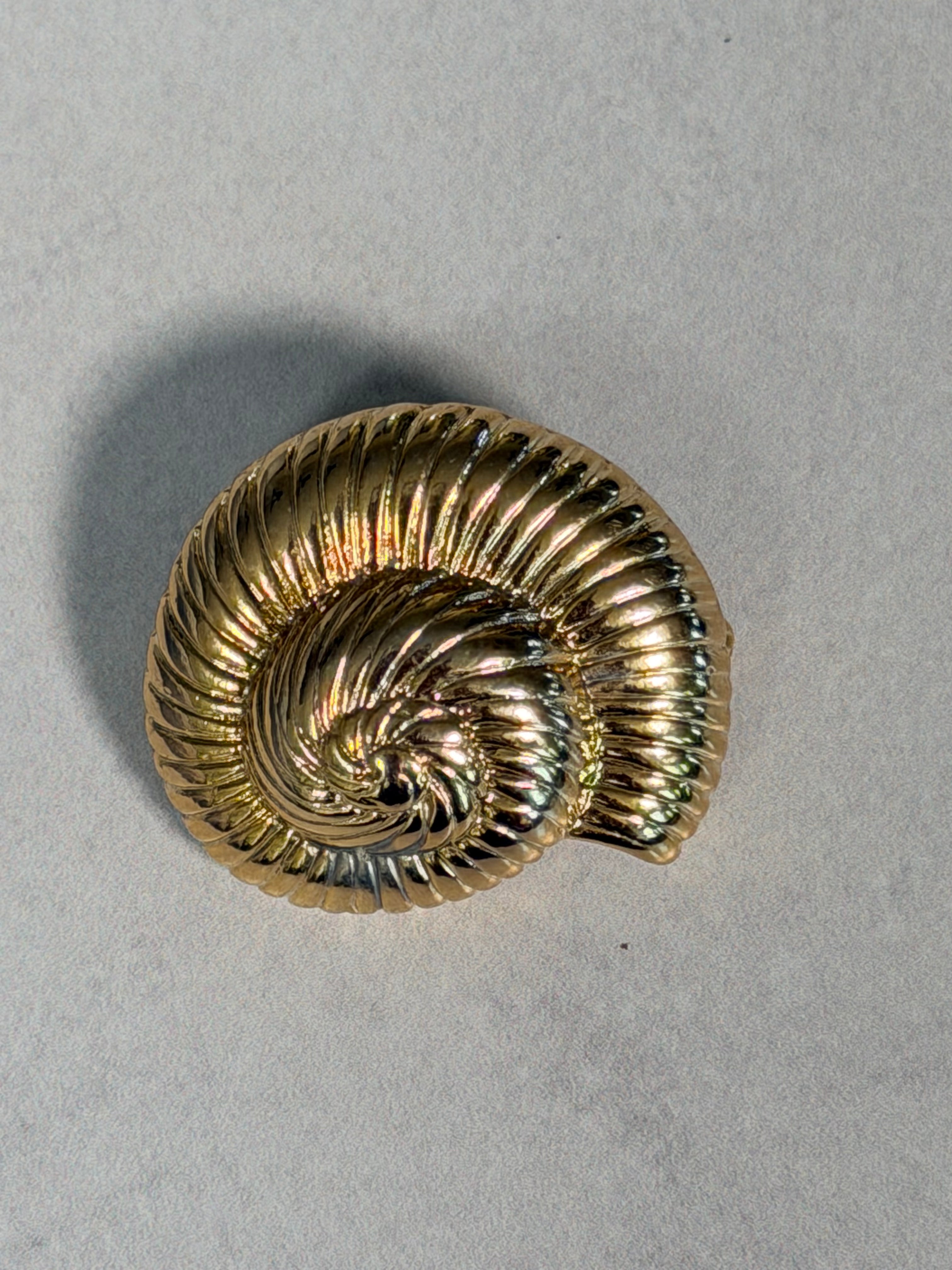 Spiral Snail Brooch